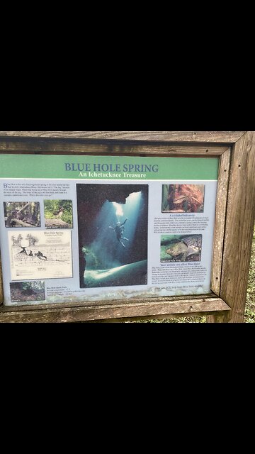 2nd Spring Ichetucknee/Blue Hole Spring