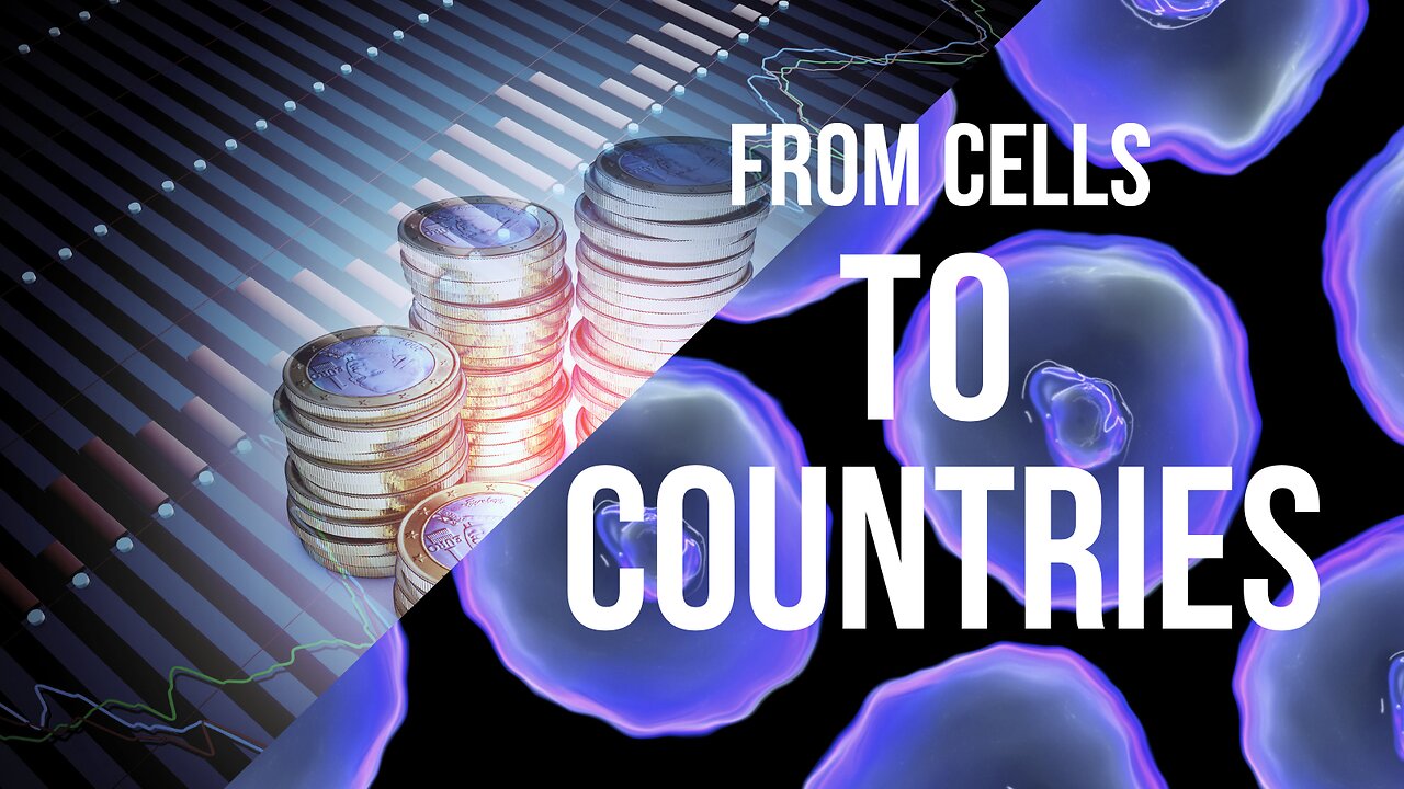 From Cells to Countries: Biochemistry of Stability