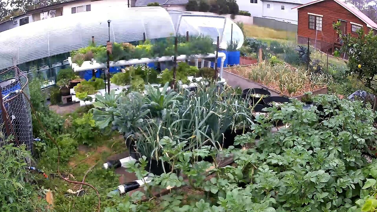 Garden Timelapse