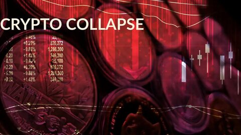 Crypto Market Disaster 50% Loss Across the Board in 7 Days