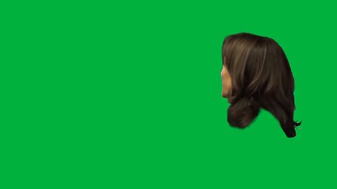 Green Screen – Kamala harris gives people joy