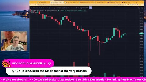 First Hedron Liquidation Auction Closing Results! Hex, Maxi & PLSD Price Chart Action LIVE!