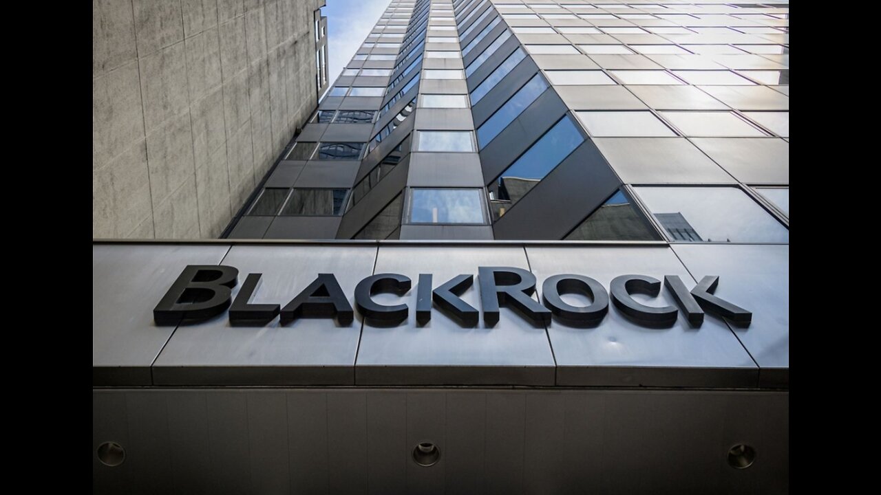 BlackRock. The Company That Owns The World