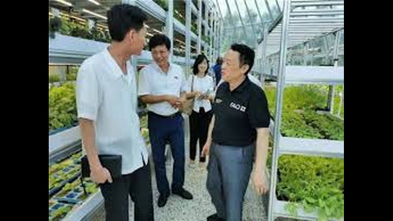 FAO Chief's Controversial Visit to North Korea: Political Agenda?