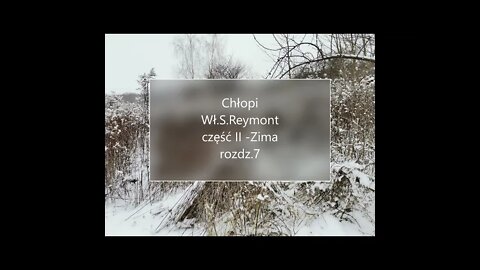 Chłopi -Wł.S.Reymont część II- Zima rozdz.7