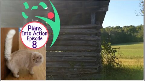 Plans Into Action Episode 8: Homestead Walk, Sticker Shop Design Work. With Cats.