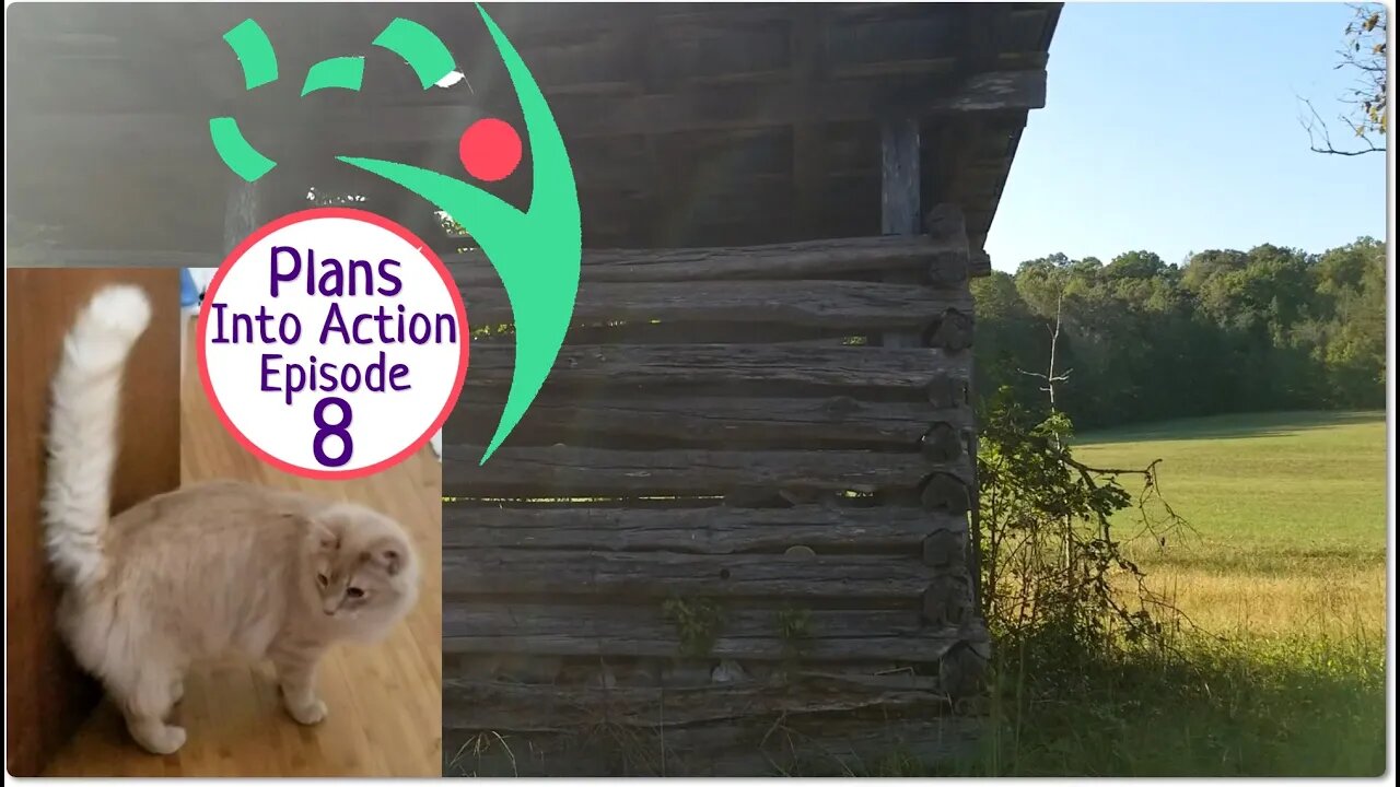 Plans Into Action Episode 8: Homestead Walk, Sticker Shop Design Work. With Cats.