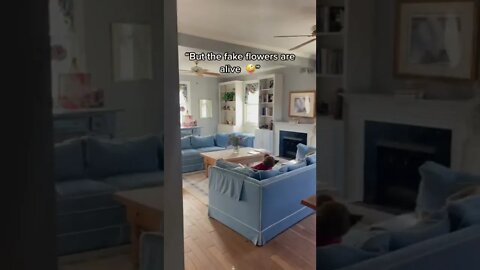 It’s too clean to be abandoned…