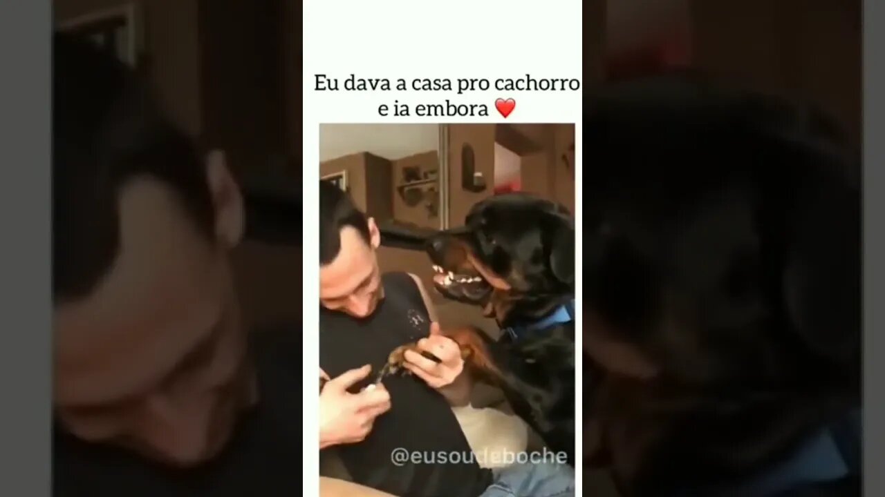 Eu deixava a casa pro cachorro e ia embora 😂