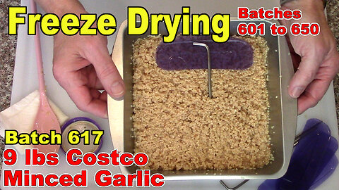 Batch 617 - Freeze Drying Minced Garlic from Costco, 9 lbs