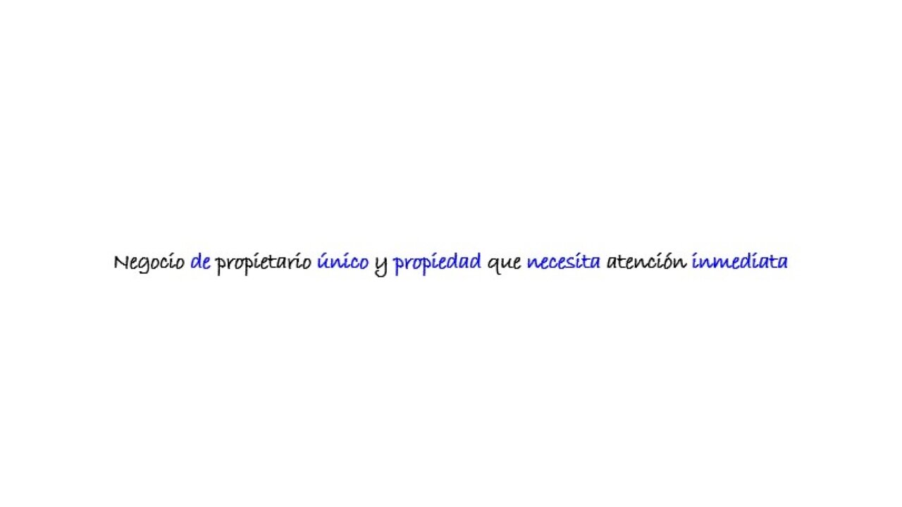 Mobile - Sole Prop & Immediate Attention - Spanish