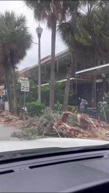 Damage around Downtown St. Pete