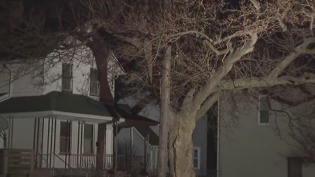 Dead trees lining Cleveland city streets pose a safety hazard — but residents can't cut them down