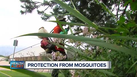 Protection from mosquitoes