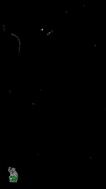 Referee T-BONE Jones