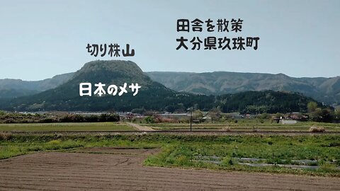 大分県玖珠町を散策してきました・切り株山とか滝とか