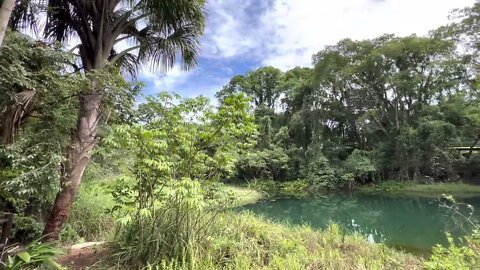 Parque Olhos D’Água, Lagoa do Sapo, Brasília