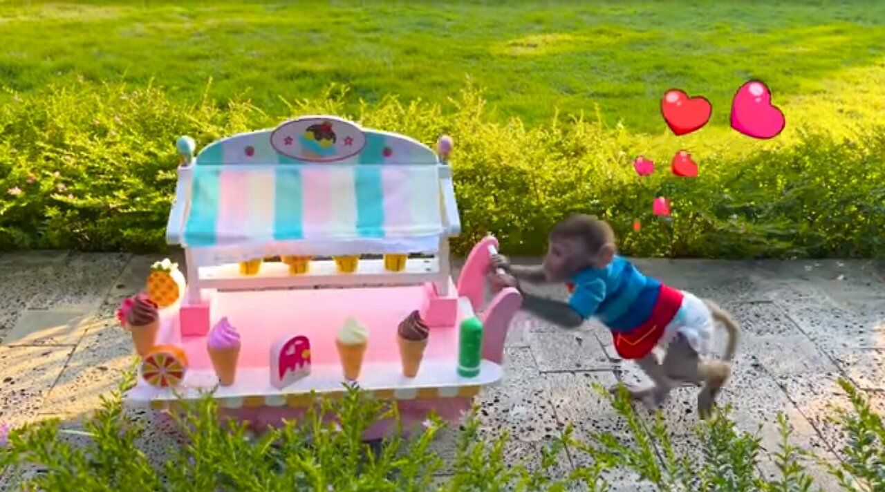 Monkey Baby Bon Bon feeds baby with a bottle and plays with ducklings in the pool