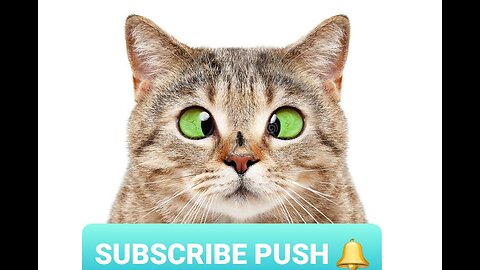 new funny animals video 2023| cat and dog's || #48 funny animal videos