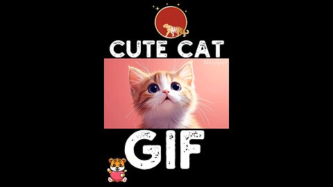 Cute Cat Gif