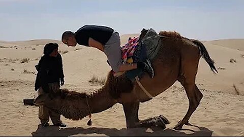 Epic Desert Fails | Hilarious Fails Of 2022