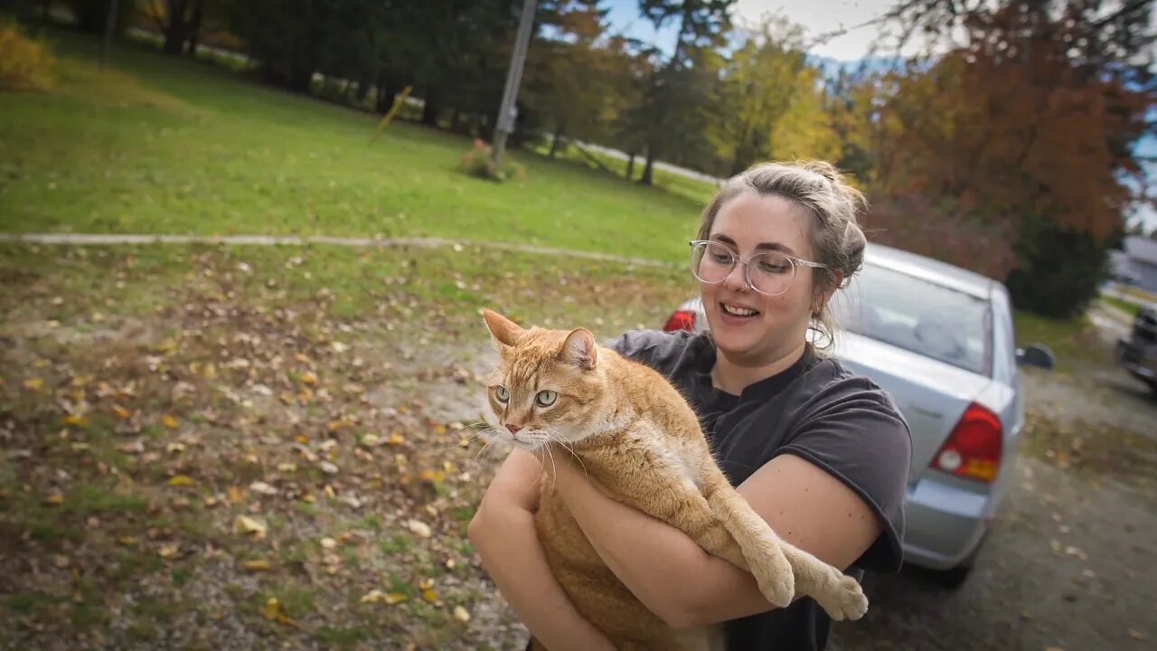 Our Cat Gets Loose and explores the Property!! // The Homestead #18