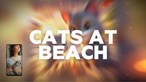 Cats at the Beach #cat #beach