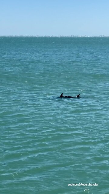 a wonderful family #florida #sunshineskywaybridge #bridge