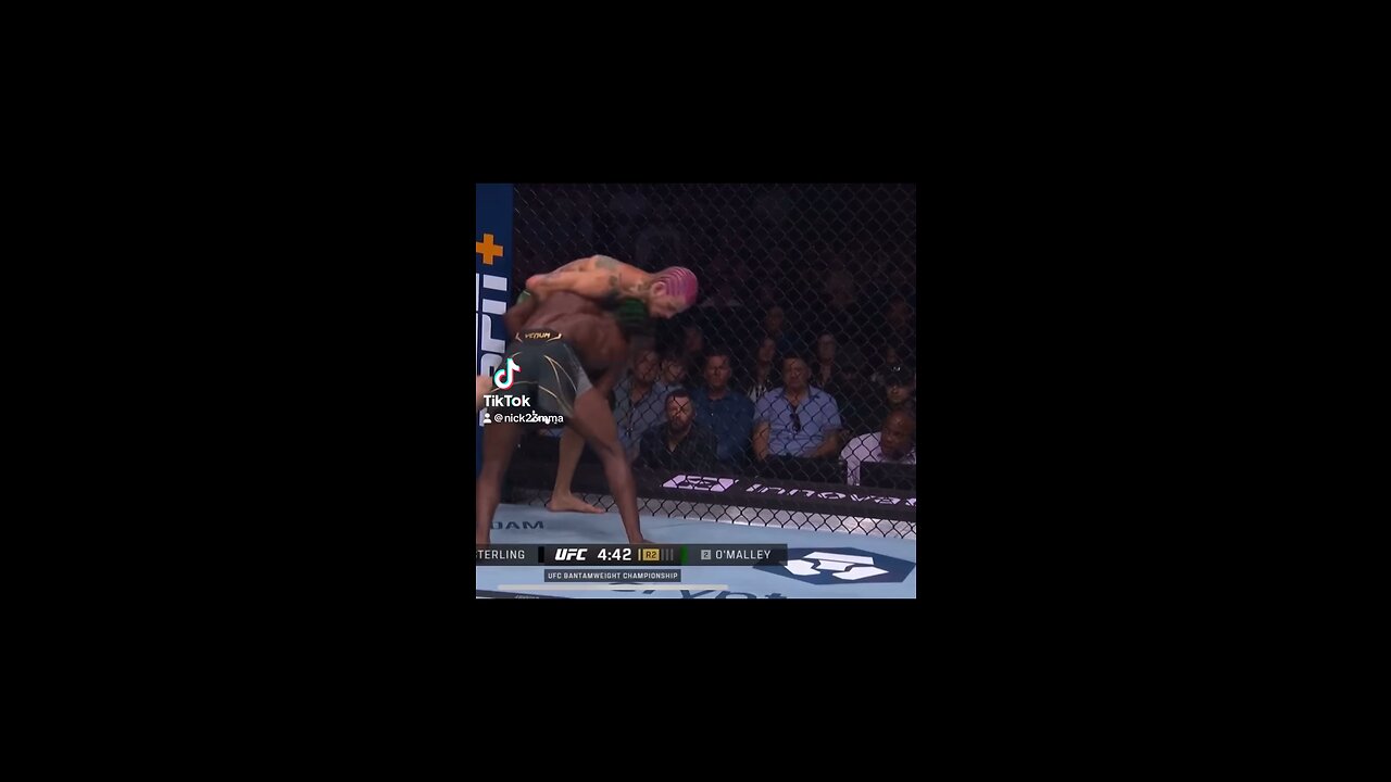 Sean knocked out Aljamain sterling 😱⁉️🏆🔥🤷🏽♂️