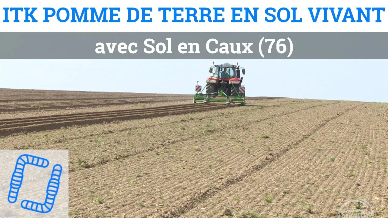 Itinéraires d'implantation de pomme de terre en Sol Vivant