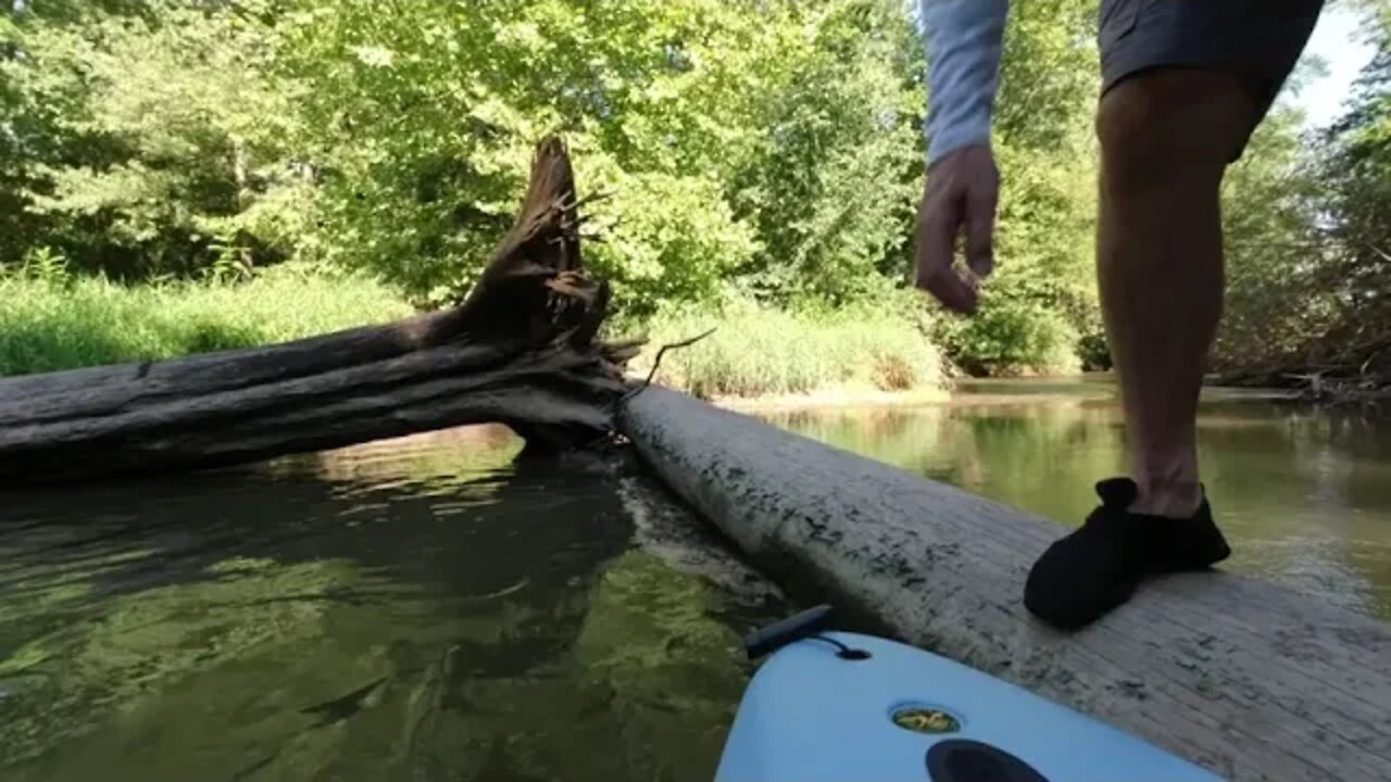 Greenville Creek Behind Pet Cemetery