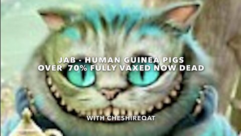 "JAB - Human Guinea Pigs - OVER 70% Fully Vaxed NOW DEAD" - With CheshireQat