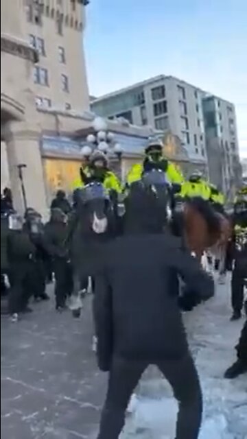 Nazi cops stomp on disabled old woman with horses