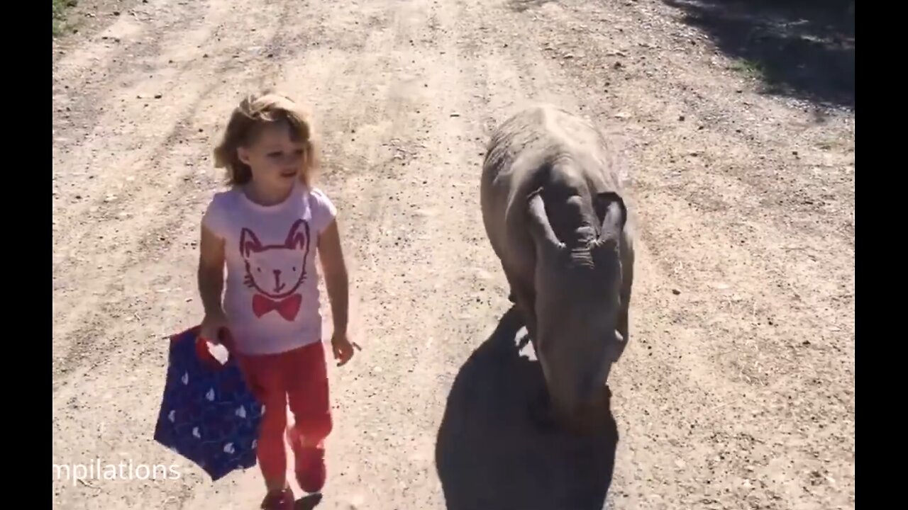 Baby Rhino Funny