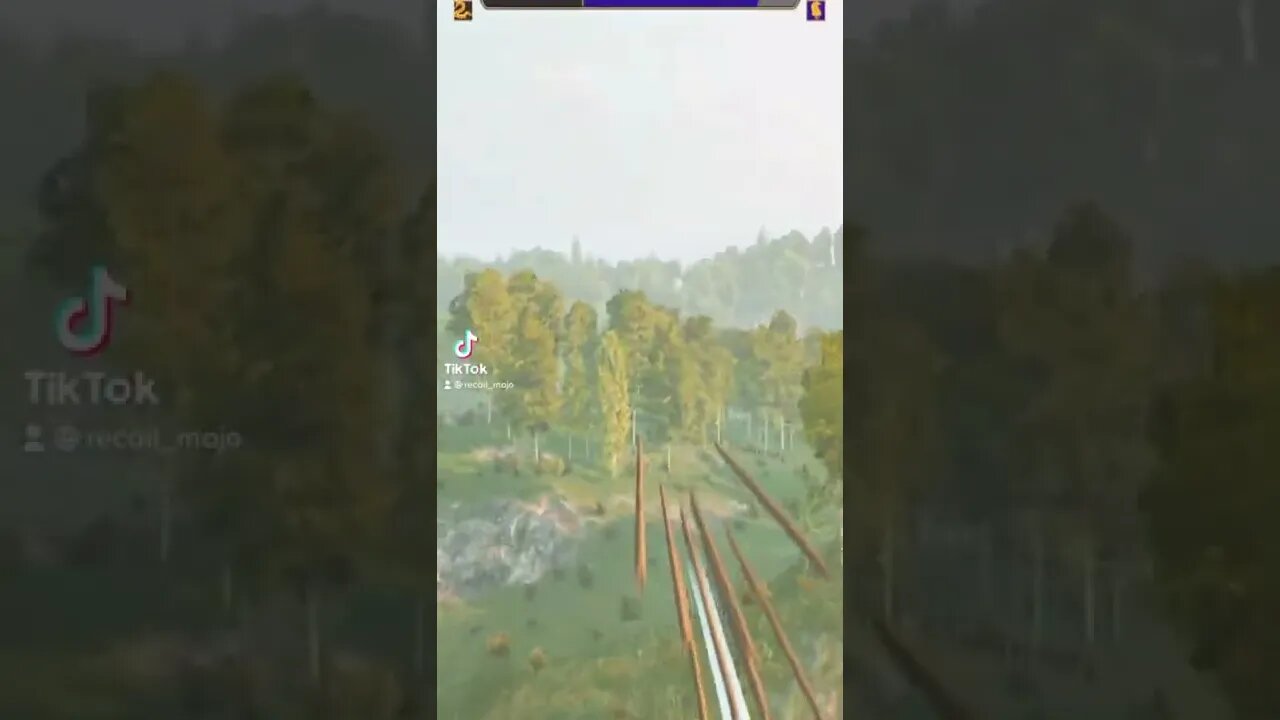 Mount & Blade II: Bannerlord Mods TikTok Gaming PC Clips 2022 134.1K Followers 3.4M Likes 100M Views