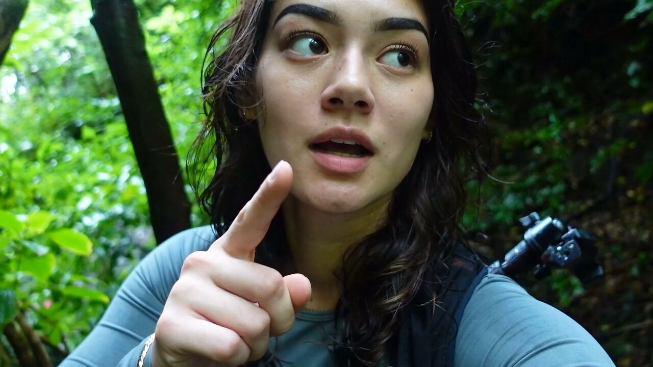 HIKING VLOG waterfall Edition