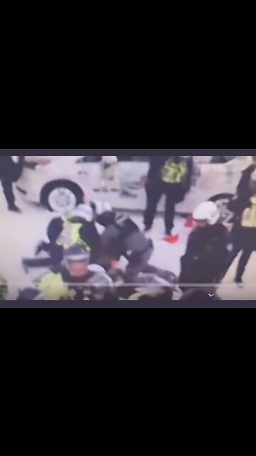 Ottawa Police Assault Trucker