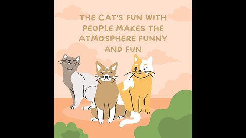 The cat's fun with people makes the atmosphere funny and fun