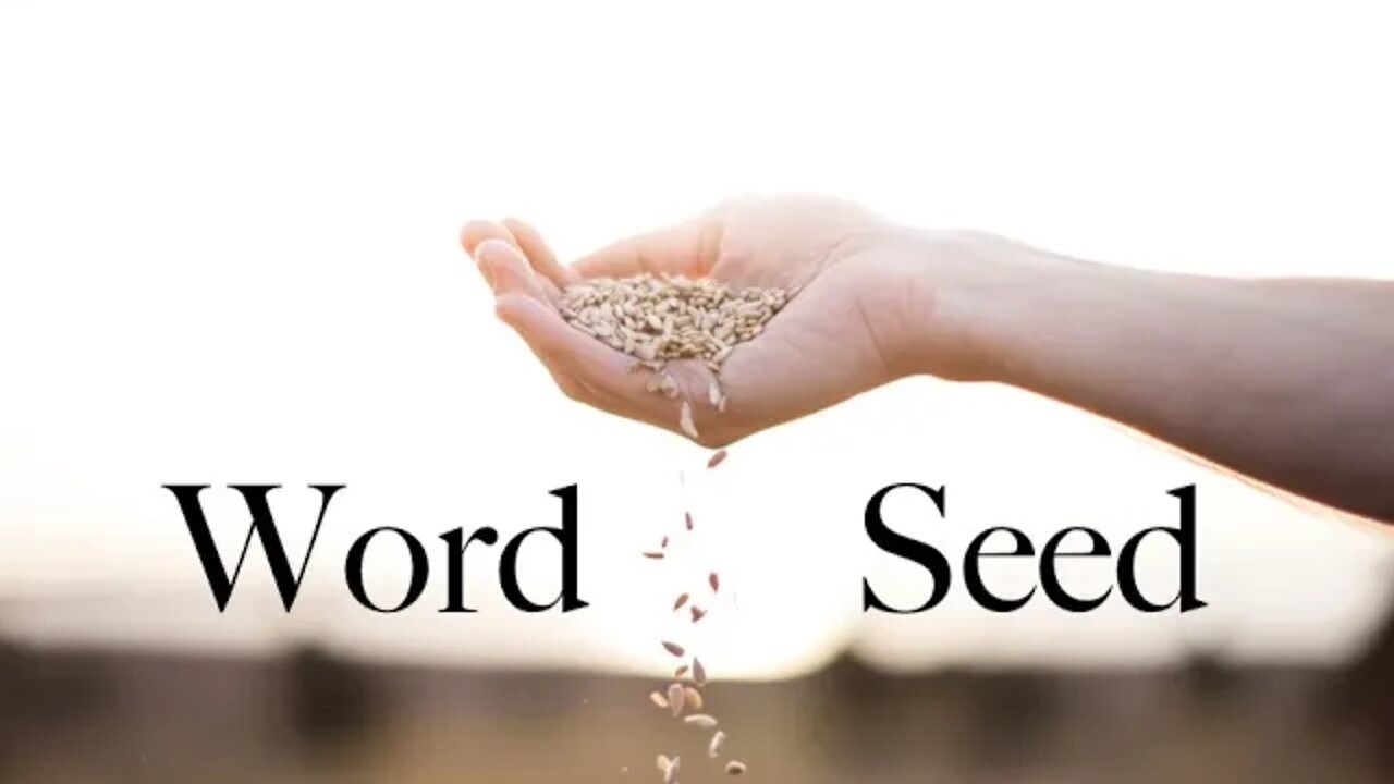 Word Seed