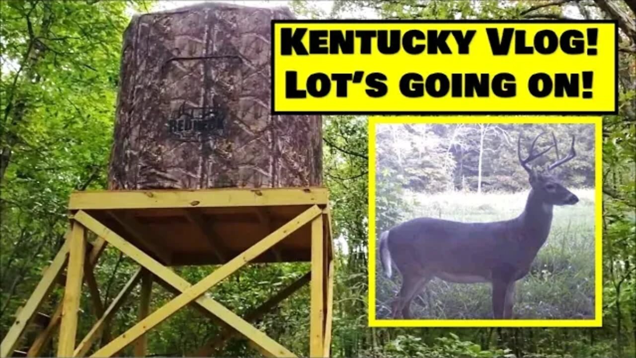 Kentucky Land VLOG; Trail cams, Fall food plots, deer towers & farmhouse rehab update!