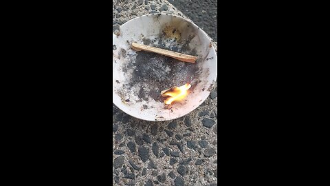 Palo santo cleansing