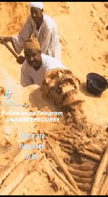 More proof of giants .