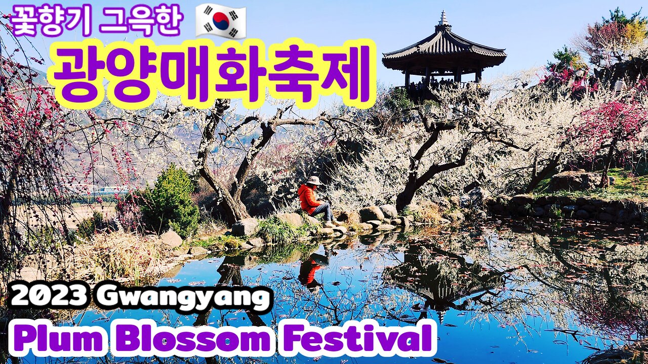 Spring is here 1 - Plum Blossom Festival