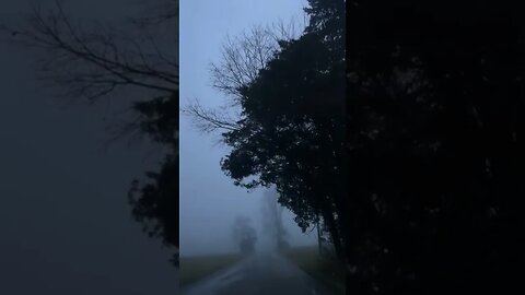 So Foggy tiktok chrissdvdsn