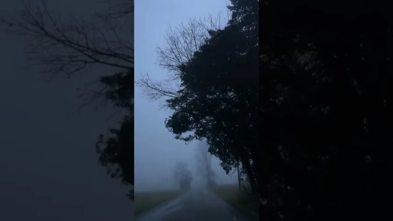 So Foggy tiktok chrissdvdsn