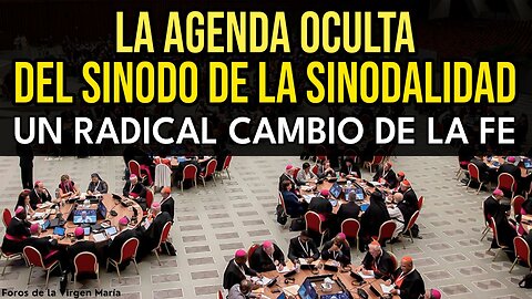 Lo que No Te Contaron del Sínodo de la Sinodalidad: La Reforma más Explosiva de la Fe en 20 siglos