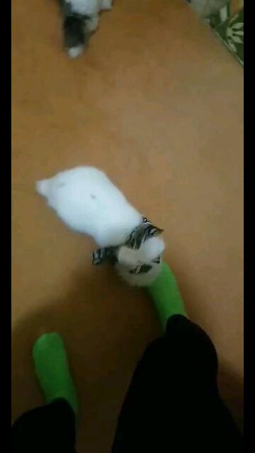 New hairstyle🧝‍♂️