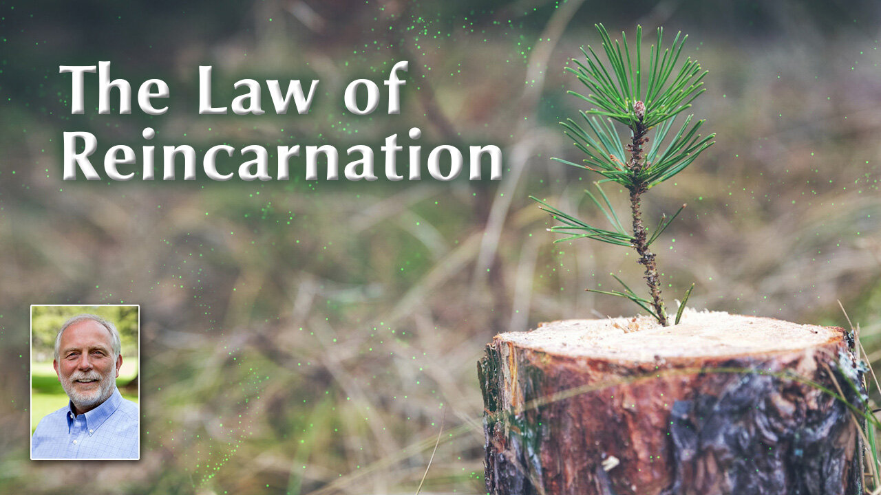 The Importance of Understanding the Law of Reincarnation