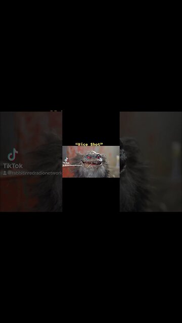 A Little Off The Top #watch #rabbitinredradionetwork