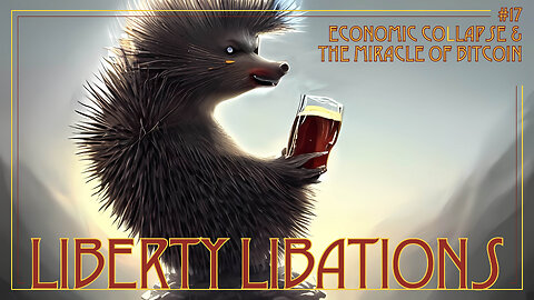 Economic Collapse & the Miracle of Bitcoin - LL#17